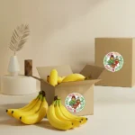 Banana Organic Chiquita
