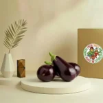 Eggplant Large