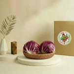 Lettuce Radicchio