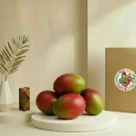 Brazil Mango