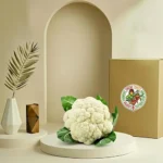 قرنبيط عضوي طازج