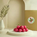 فجل أحمر