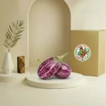 باذنجان صغير