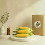 Sweet Corn Organic