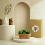Capsicum Green