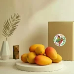 Mango Long