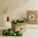 Avocado Hass