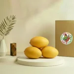 Mango Taimoor