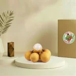 Longan